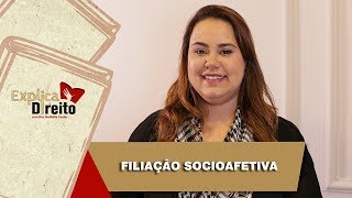 Explica Direito Filiação Socioafetiva  2019 [upl. by Lalittah]