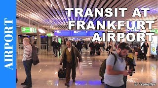 TRANSIT WALK AT FRANKFURT Airport FRA Terminal 1  Connection Flight Transfer Arriving amp Departing [upl. by Aydin479]